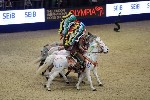 Quadrille - 00295